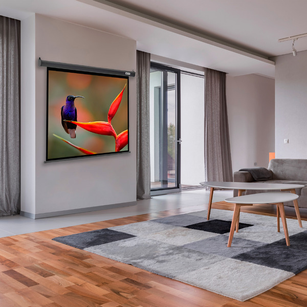 Проекционный экран CACTUS SIlverMotoExpert 138x220 CS-PSSME-220X138-DG