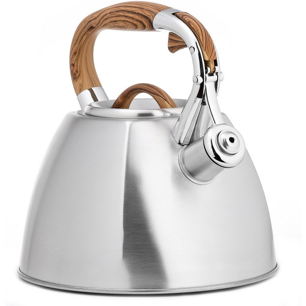 Чайник LARA LR00-66 (матовый)