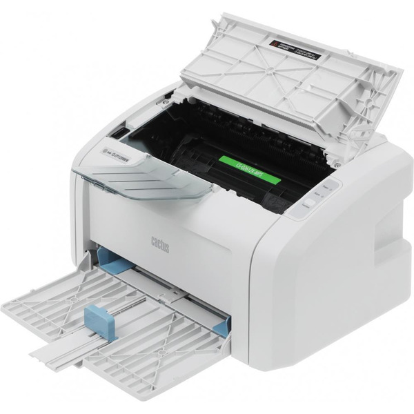Принтер CACTUS CS-LP1120NWW