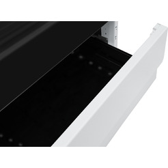 Кухонная плита Hansa FCGW580977