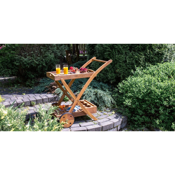 Сервировочная тележка Fieldman FDZN 4050-T