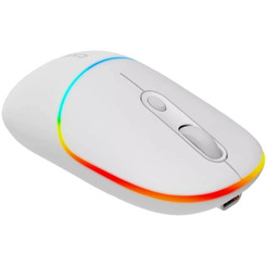 Мышь Canyon MW-22 (CNS-CMSW22SW) белый