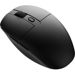Компьютерная мышь KEYCHRON BM22 (BM22-A9) черная