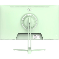 Монитор Digma Overdrive 24P410F (мятный)