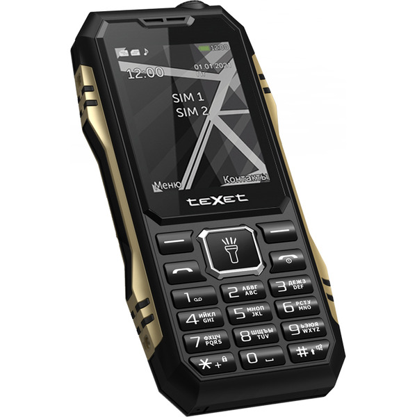 Мобильный телефон TeXet TM-D424 (черный)