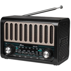 Радиоприемник Ritmix RPR-020