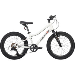 Велосипед детский Maxiscoo 3BIKE 20'' L Серый (2025) MSC-M3-2003