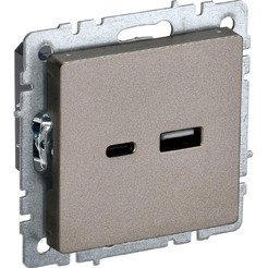 Розетка USB IEK Brite РЮ11-1БрШ