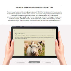 Планшет Huawei MatePad T10s AGS3K-W09 4GB/128GB Wi-Fi (насыщенный синий)