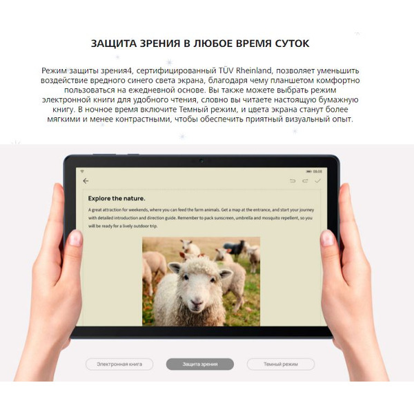 Планшет Huawei MatePad T10s AGS3K-W09 4GB/128GB Wi-Fi (насыщенный синий)