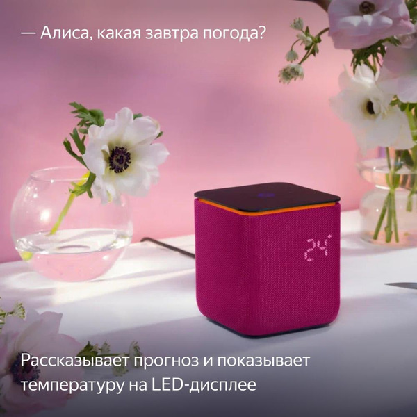 Умная колонка Яндекс Станция Миди (YNDX-00054PNK) малиновый