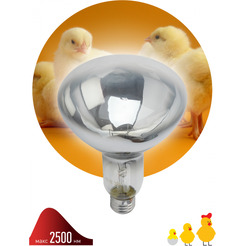 Инфракрасная лампа ЭРА ИКЗ 220-250 R127 E27 для обогрева животных и освещения