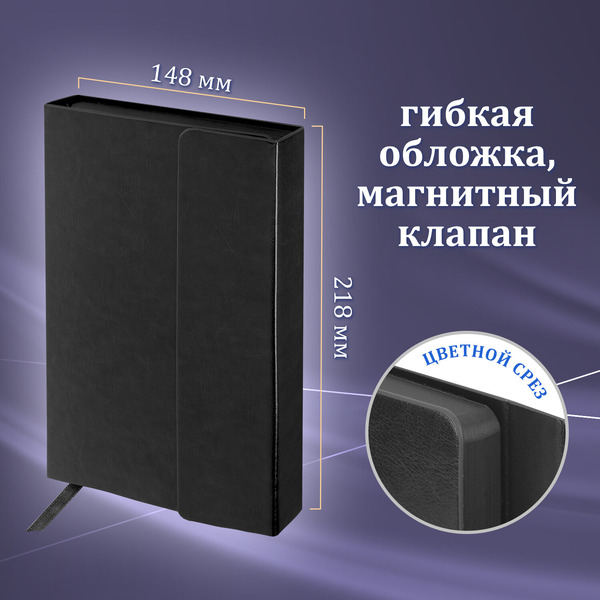 Ручка GALANT Marburg 880905 (ежедневник недатированный А5 черный, пакет)