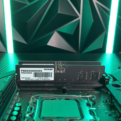 Оперативная память Patriot Signature Line 8ГБ DDR5 5600 МГц PSD58G560041