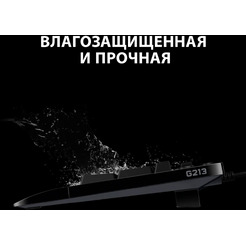 Клавиатура Logitech Prodigy G213 (920-008092)