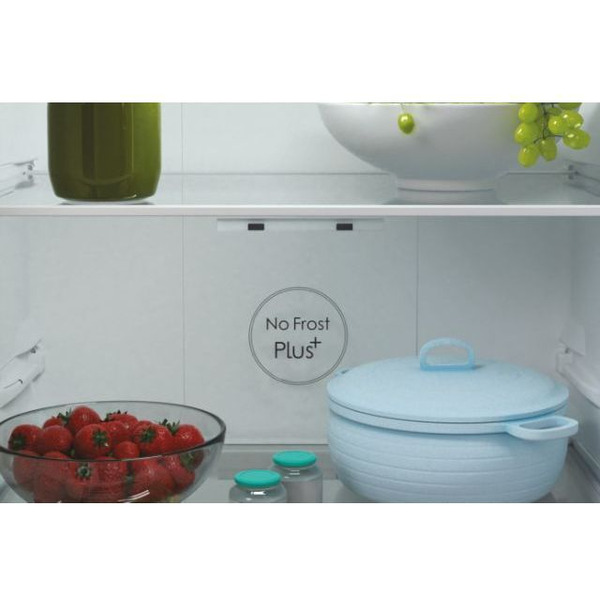 Холодильник Candy CCRN 6180S