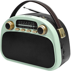 Радиоприемник Ritmix RPR-040 (мятный)