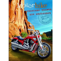 Записная кн.д/мальчишек арт. 39115 ХАРЛЕЙ 39115/А-5, 128стр. ФЕНИКС