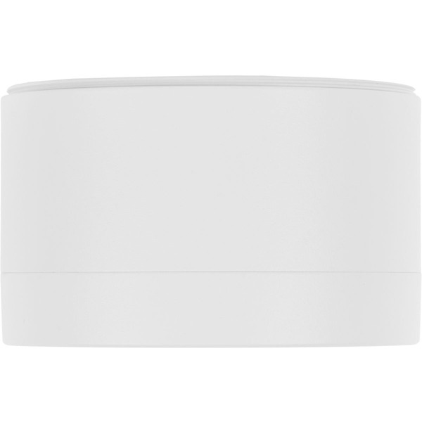 Светильник накладной Leiden Electric 807106