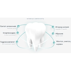 Зубная паста Lacalut Aktiv (90г)