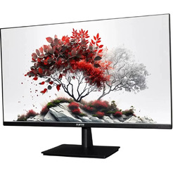 Монитор RDW Computers 2701K/F00B3100V2A1