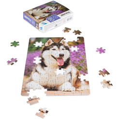 Пазлы DREAM MAKERS Зверята RI8002C