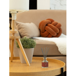 Аромадиффузор Arida Home Hygge №22 Персик и пион (100 мл)