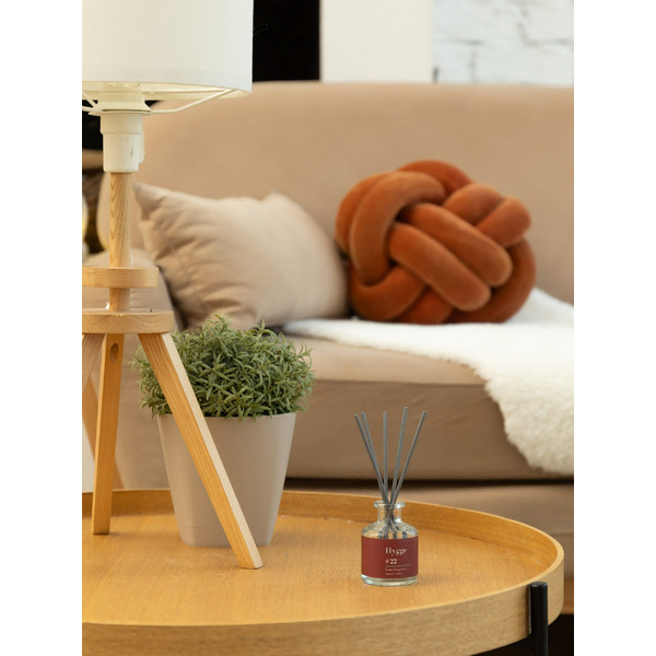 Аромадиффузор Arida Home Hygge №22 Персик и пион (100 мл)