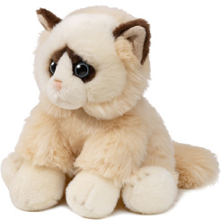 Мягкая игрушка Maxitoys Сиамская кошечка MT-TS112311-25