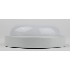 Светильник ЖКХ ЭРА SPB-201-0-40K-015