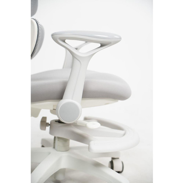 Стул регулируемый Ergosmart Antey GREY/чехол T14 GREEN