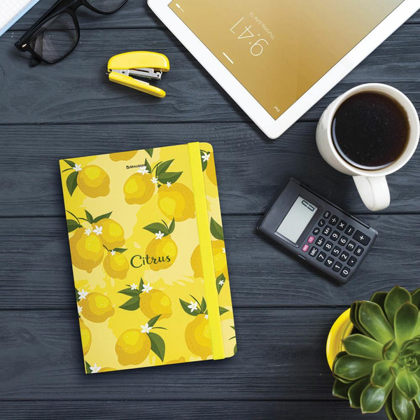 Блокнот BRAUBERG 113727