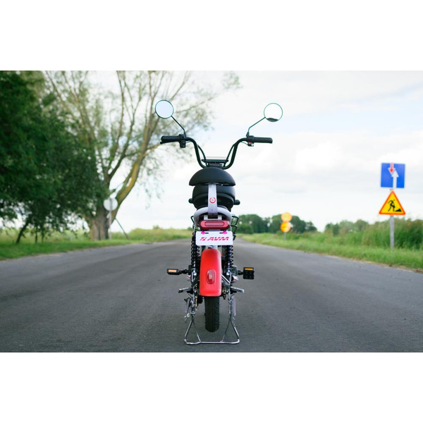 Электровелосипед AVM Delta Lite (красный)