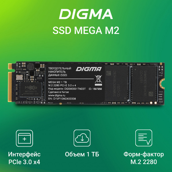 SSD Digma Mega M2 1TB DGSM3001TM23T