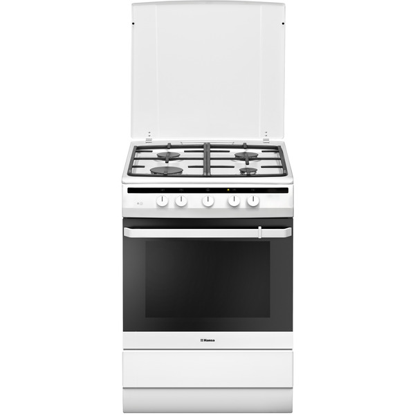 Кухонная плита Hansa FCGW64021