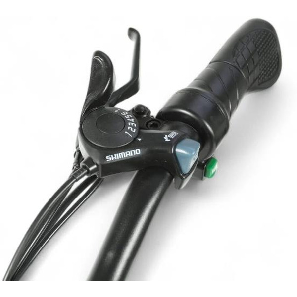 Электровелосипед SAMEBIKE City Master Fat (MY-E02 черный)