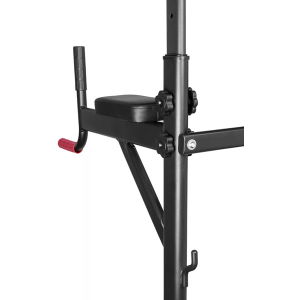 Турник с брусьями Alpin Athletics G-11