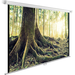 Экран Cactus CS-PSWE-220X220-WT