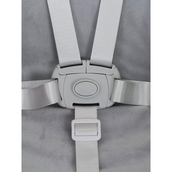 Стульчик для кормления Rant Basic Mango RH304 (Grey)