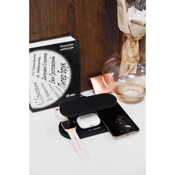 Беспроводное зарядное устройство Canyon CNS-WCS501B