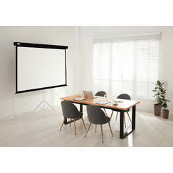 Экран Cactus CS-PSW-149X265-BK