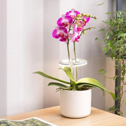 Светильник фито Cactus CS-LED-ORCHID