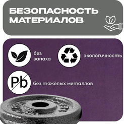 Набор чугунных дисков Proiron НЧД2500 (2 х 5 кг)