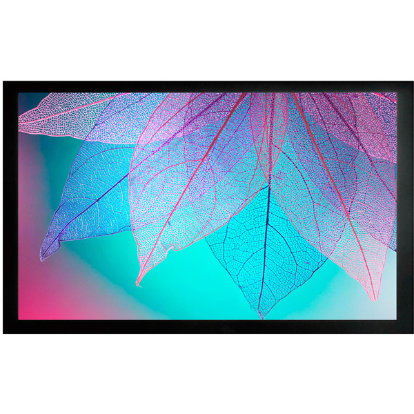 Проекционный экран CACTUS FrameExpert 124x220 CS-PSFRE-220X124