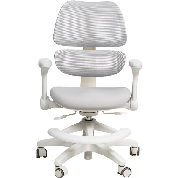 Стул регулируемый Ergosmart Antey GREY/чехол T14 GREEN