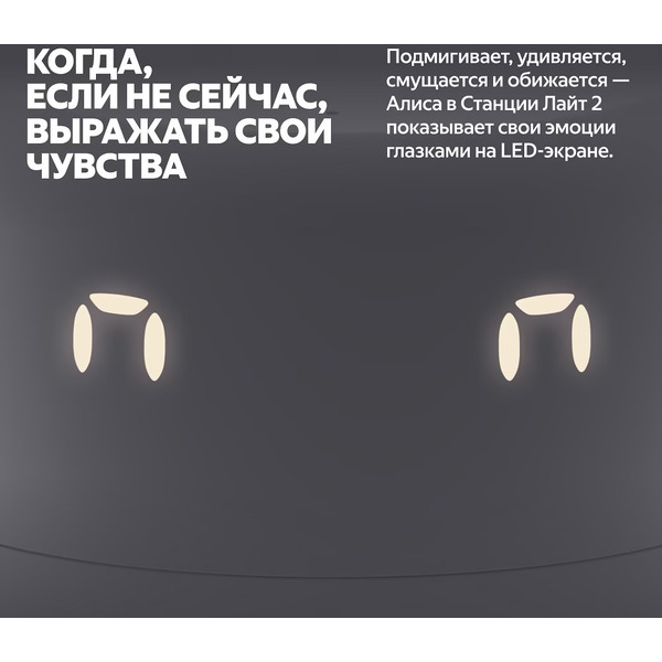 Умная колонка Яндекс.Станция Лайт 2 (YNDX-00026GRY) графит