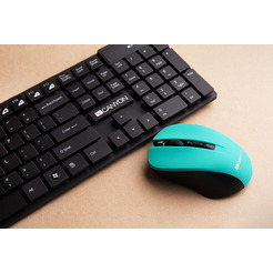 Мышь CANYON CNE-CMSW1GR