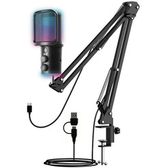 Микрофон Ritmix RDM-278 USB Gaming (черный)