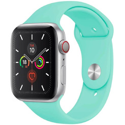 Ремешок Bingo Silicone для APPLE Watch 38/40/41mm (S) Мята