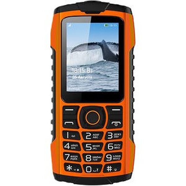Мобильный телефон BQ-Mobile BQ-2439 Bobber (оранжевый)